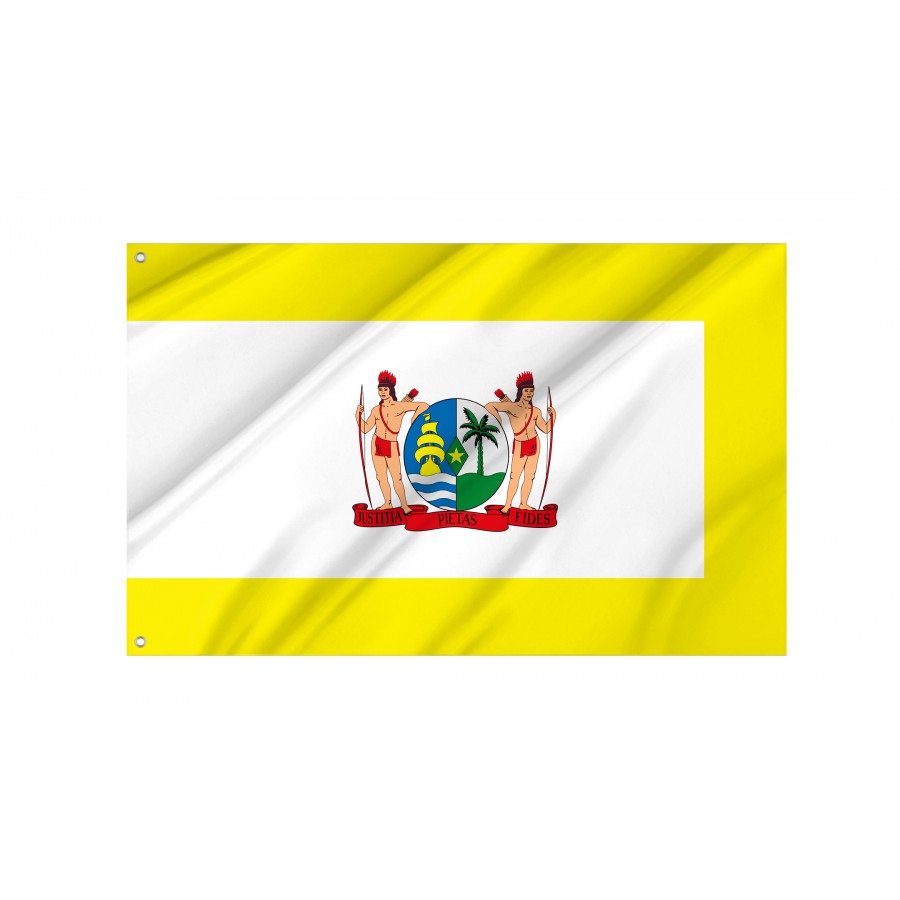 Flag of Standard of Prime Minister of Suriname, Patriotic Flags, Unique Design Print, Flags for Indoor & Outdoor Use