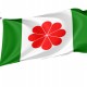 Proposed Flag of Taiwan for Indoor & Outdoor Use - Imagine 1