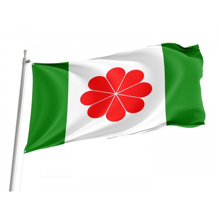 Proposed Flag of Taiwan, Patriotic Flags, Unique Design Print, Flags for Indoor & Outdoor Use