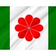 Proposed Flag of Taiwan for Indoor & Outdoor Use - Imagine 2
