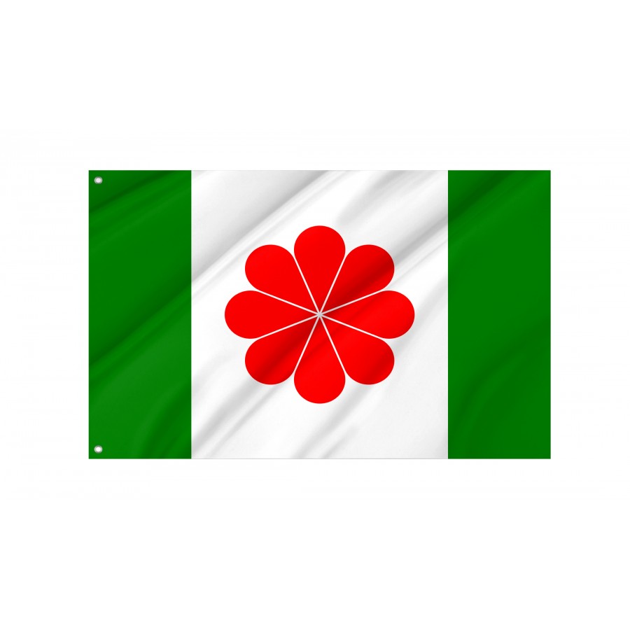 Proposed Flag of Taiwan, Patriotic Flags, Unique Design Print, Flags for Indoor & Outdoor Use