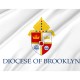 A Representation of The Flag of The Roman Catholic Diocese of Brooklyn in Brooklyn and Queens, Flags for Indoor & Outdoor Use - Imagine 2