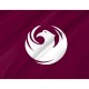 Phoenix, AZ Flag for Indoor & Outdoor Use - Imagine 2