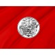 Arkansas 1876 Flag for Indoor & Outdoor Use - Imagine 2
