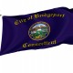 Bridgeport Flag for Indoor & Outdoor Use - Imagine 1