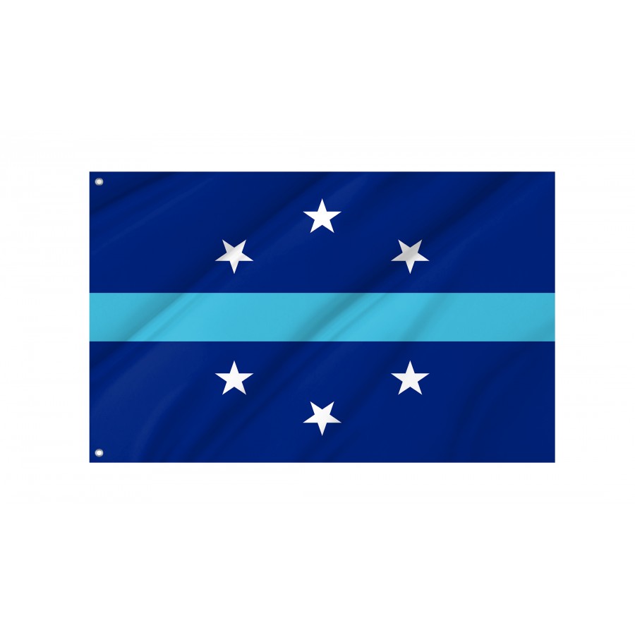Flag of Anaheim, California, Patriotic Flags, Unique Design Print, Flags for Indoor & Outdoor Use