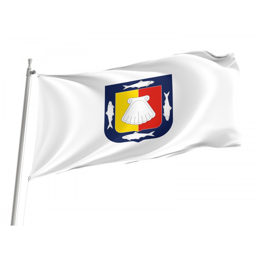 Flag of Baja California, Patriotic Flags, Unique Design Print, Flags for Indoor & Outdoor Use