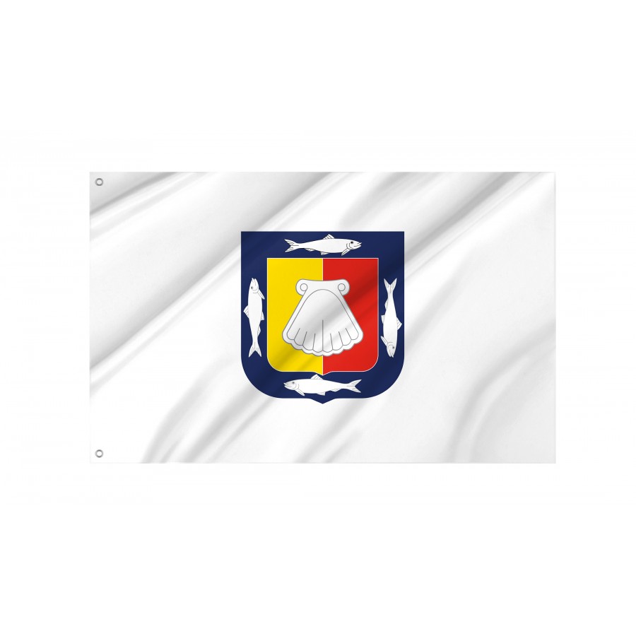 Flag of Baja California, Patriotic Flags, Unique Design Print, Flags for Indoor & Outdoor Use
