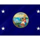 Governor of California Flag for Indoor & Outdoor Use - Imagine 2