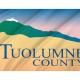 Flag of Tuolumne County, California, Patriotic Flags, Unique Design Print, Flags for Indoor & Outdoor Use - Imagine 2