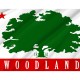 Woodland, California Flag for Indoor & Outdoor Use - Imagine 2