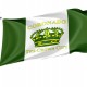 Coronado Flag for Indoor & Outdoor Use - Imagine 1