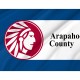 Flag of Arapahoe County, Colorado, Patriotic Flags, Unique Design Print, Flags for Indoor & Outdoor Use - Imagine 2