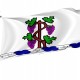 Flag of Connecticut National Guard Crest, Patriotic Flags, Unique Design Print, Flags for Indoor & Outdoor Use - Imagine 1