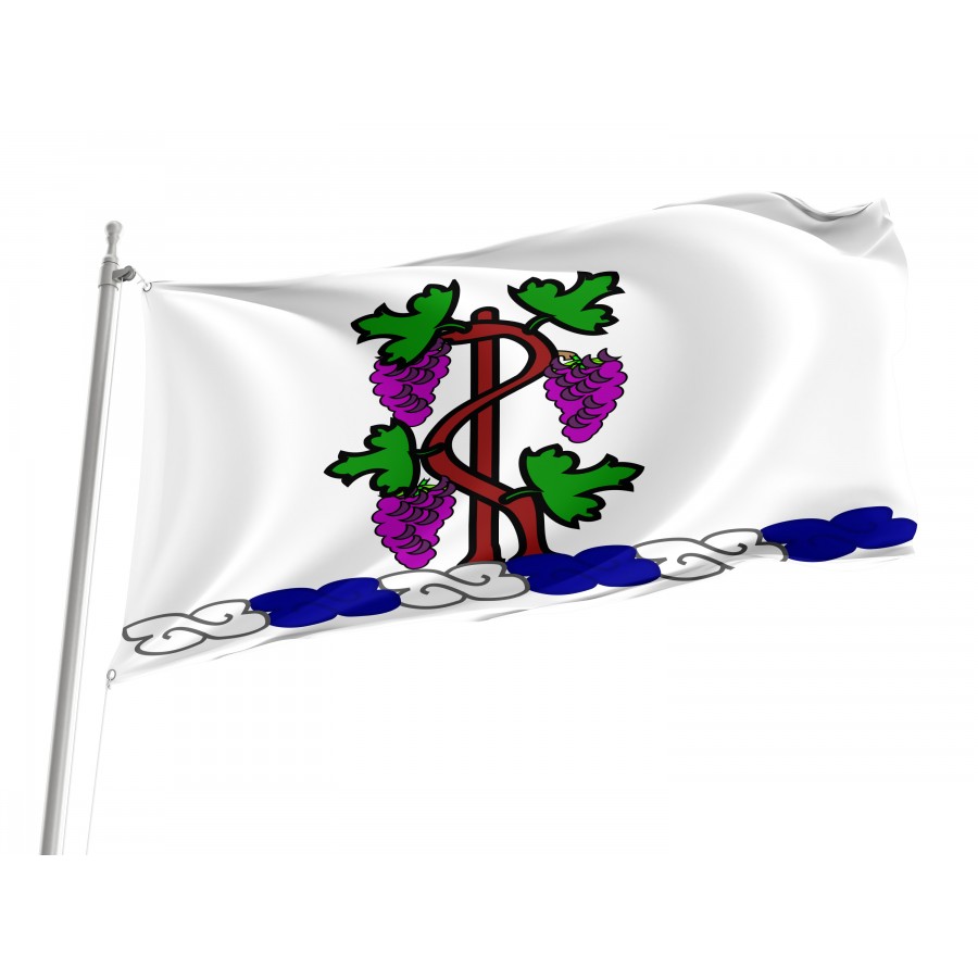 Flag of Connecticut National Guard Crest, Patriotic Flags, Unique Design Print, Flags for Indoor & Outdoor Use
