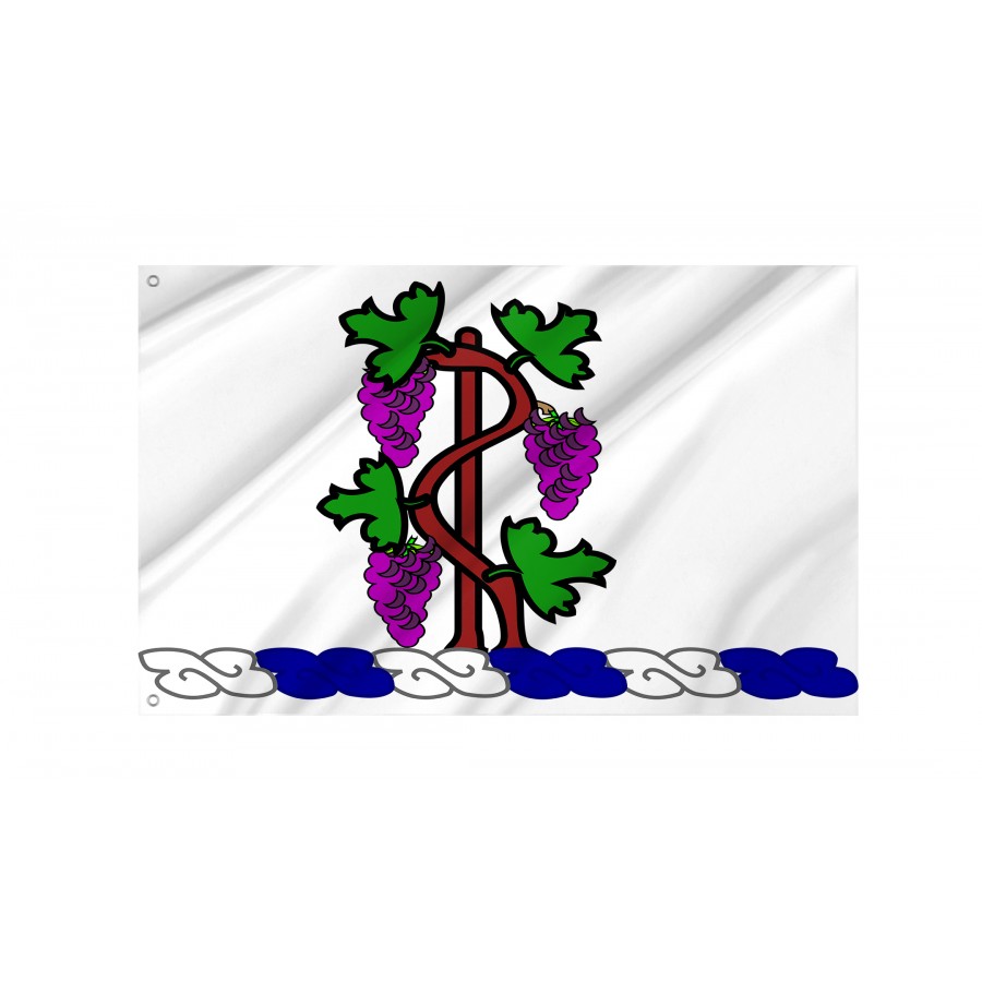 Flag of Connecticut National Guard Crest, Patriotic Flags, Unique Design Print, Flags for Indoor & Outdoor Use