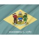 Delaware State Flag for Indoor & Outdoor Use - Imagine 2