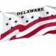 Delaware County Flag for Indoor & Outdoor Use - Imagine 1