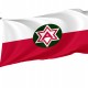 Sixth United States Army Flag for Indoor & Outdoor Use - Imagine 1