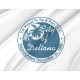 Deltona Flag for Indoor & Outdoor Use - Imagine 2