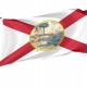 Florida 1900 Flag for Indoor & Outdoor Use - Imagine 1