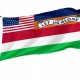 Flag of Florida Moseley, Patriotic Flags, Unique Design Print, Flags for Indoor & Outdoor Use - Imagine 1
