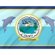 Okaloosa County Flag for Indoor & Outdoor Use - Imagine 2