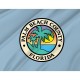 Flag of Palm Beach County, Florida, Patriotic Flags, Unique Design Print, Flags for Indoor & Outdoor Use - Imagine 2