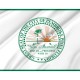 Pembroke Pines Flag for Indoor & Outdoor Use - Imagine 2