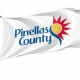 Flag of Pinellas County, Florida, Patriotic Flags, Unique Design Print, Flags for Indoor & Outdoor Use - Imagine 1