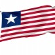 Florida Provisional 1861 Flag for Indoor & Outdoor Use - Imagine 1