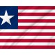 Florida Provisional 1861 Flag for Indoor & Outdoor Use - Imagine 2