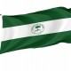 Flag of South Miami, Florida, Patriotic Flags, Unique Design Print, Flags for Indoor & Outdoor Use - Imagine 1