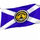 Tallahassee, Florida Flag for Indoor & Outdoor Use - Imagine 1