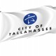 Flag of Tallahassee, Florida 2020, Patriotic Flags, Unique Design Print, Flags for Indoor & Outdoor Use - Imagine 1