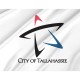 Flag of Tallahassee, Florida, Patriotic Flags, Unique Design Print, Flags for Indoor & Outdoor Use - Imagine 2