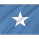 West Florida Flag for Indoor & Outdoor Use - Imagine 2