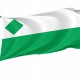 Green Party of the United States Flag for Indoor & Outdoor Use - Imagine 1