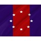Flag of Chicago Heights, Illinois, Patriotic Flags, Unique Design Print, Flags for Indoor & Outdoor Use - Imagine 2