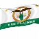 Des Plaines Flag for Indoor & Outdoor Use - Imagine 1