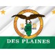 Des Plaines Flag for Indoor & Outdoor Use - Imagine 2