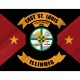 East St. Louis Flag for Indoor & Outdoor Use - Imagine 2