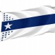 Flag of Illinois Centennial, Patriotic Flags, Unique Design Print, Flags for Indoor & Outdoor Use - Imagine 1