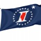 Illinois Sesquicentennial Flag for Indoor & Outdoor Use - Imagine 1