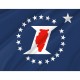 Illinois Sesquicentennial Flag for Indoor & Outdoor Use - Imagine 2