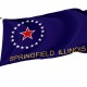 Springfield, Illinois Flag for Indoor & Outdoor Use - Imagine 1