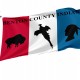 Benton County, Indiana Flag for Indoor & Outdoor Use - Imagine 1