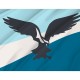 Colfax Flag for Indoor & Outdoor Use - Imagine 2