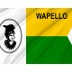 Wapello County Flag for Indoor & Outdoor Use - Imagine 2