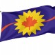 Flag of Baldwin City, Kansas, Patriotic Flags, Unique Design Print, Flags for Indoor & Outdoor Use - Imagine 1